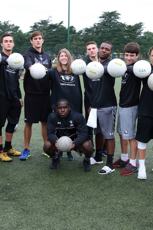 Dublin: Gaelic Games Experience - Astro pitch playtime: football, hurling, and handball