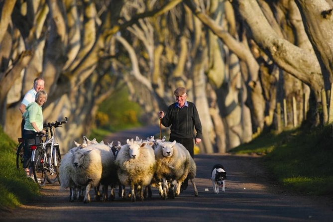 Dublin: Giant's Causeway, Dark Hedges, Dunluce and Belfast Titanic entrance fee - Stop 2: Giant’s Causeway, walk the basalt columns and the Finn McCool myth
