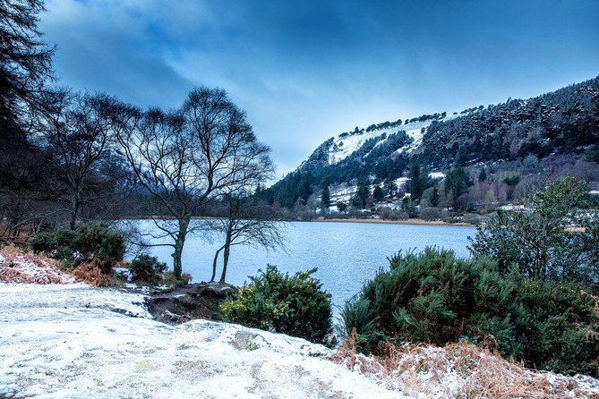 Dublin: Glendalough, Wicklow, Kilkenny and Sheepdog demonstration - Kilkenny medieval time: Castle Park film and the best preserved old-town feeling