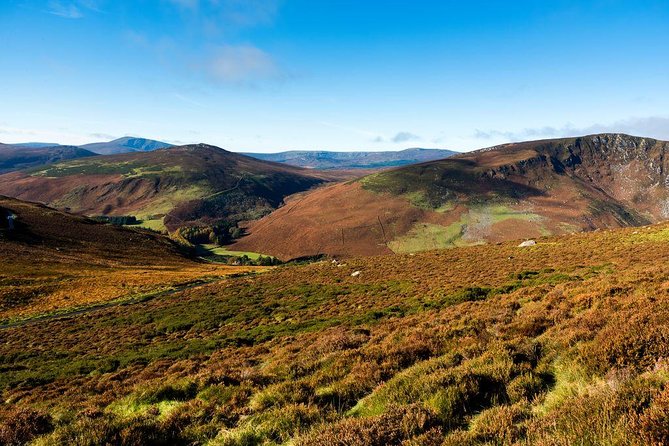 Dublin: Glendalough, Wicklow, Kilkenny and Sheepdog demonstration - Value check: is $45.95 a good deal for what you actually do?