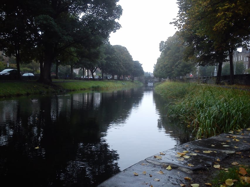 Dublin: Grand Canal Cruise with Dinner - Who Should Book This Cruise (and Who Might Skip It)