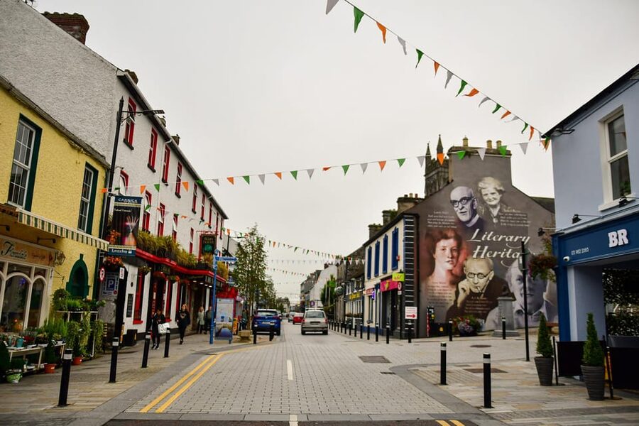 Dublin: Historical and Cultural Historical Walking Tour - Dublin Castle: A Short Stop With a Clear Purpose