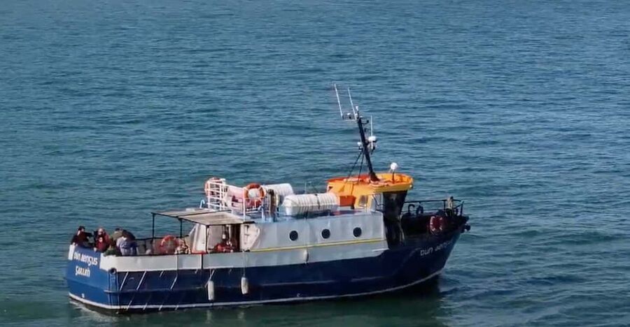 Dublin: Howth Cliffs and Lighthouse Boat Tour - Key things to know before you go