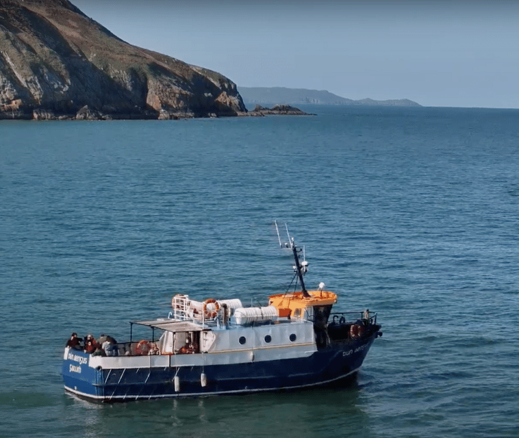 Dublin: Howth Cliffs and Lighthouse Boat Tour - Howth cliffs by boat: the kind of views you cannot get from shore