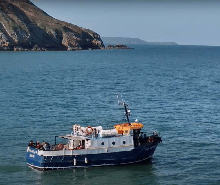 Dublin: Howth Cliffs and Lighthouse Boat Tour - Weather reality for a short coastal cruise (and how to stay comfortable)
