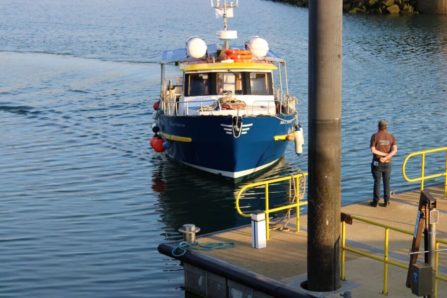 Dublin: Howth Cliffs and Lighthouse Cruise - Key things to know before you go