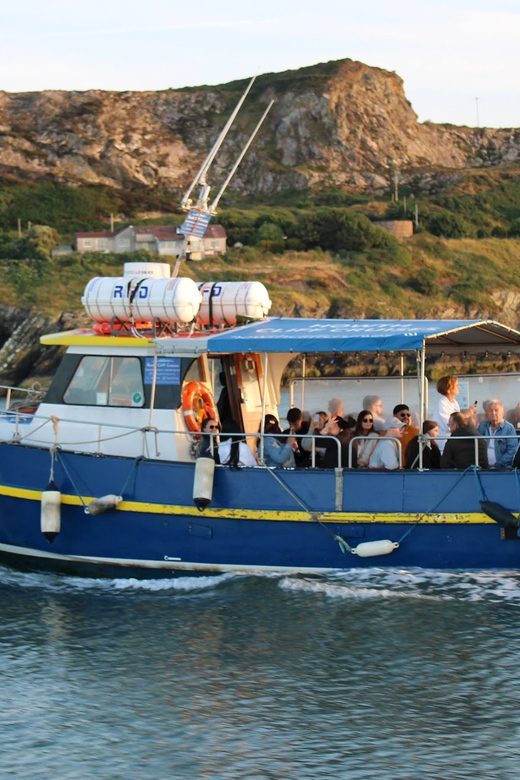 Dublin: Howth Coast and Ireland's Eye Boat Tour - Captain Commentary That Turns Sightseeing Into Spotting