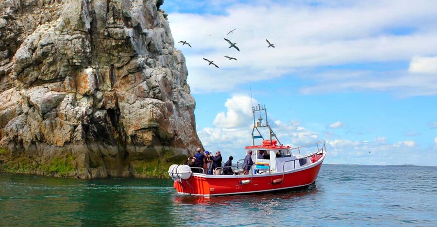 Dublin: Howth Coastal Boat Tour - Key Things to Know Before You Go