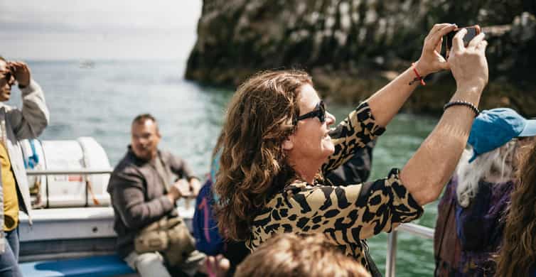 Dublin: Howth Coastal Boat Tour - Howth to Ireland’s Eye, a short boat trip with big wildlife payoff