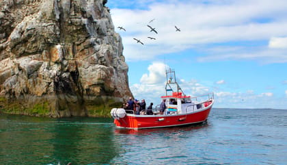 Dublin: Howth Coastal Boat Tour - How the cruise works: cliffs, caves, and that UNESCO biosphere stretch