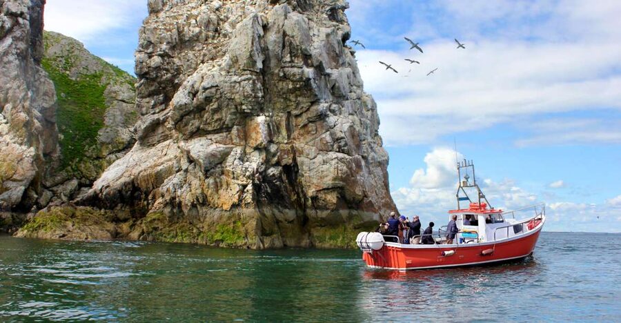 Dublin: Howth Coastal Boat Tour - Price and value at $28 for a 50-minute guided cruise