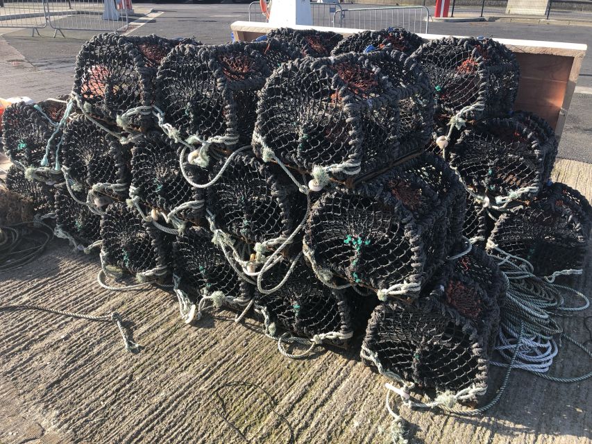 Dublin: Howth Coastal Craft Beer and Seafood Tour - Howth’s Fishing Village, Local History, and Irish Seals