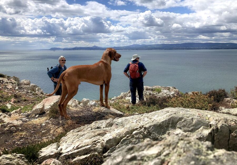 Dublin: Howth Coastal Hiking Tour - Key things I’d mark on your map