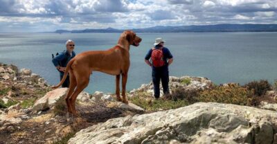 Howth Coastal Hiking Tour