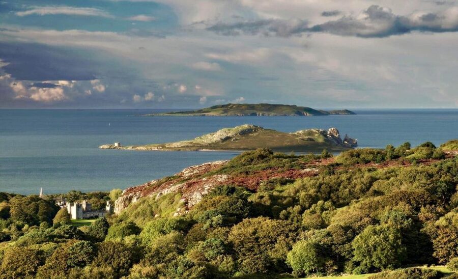 Dublin: Howth Coastal Hiking Tour - The Ben of Howth climb, the view HG Wells singled out