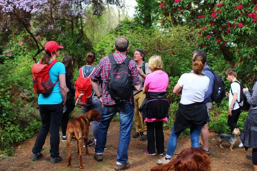 Dublin: Howth Coastal Hiking Tour - Baily Lighthouse and the cliff-walk logic