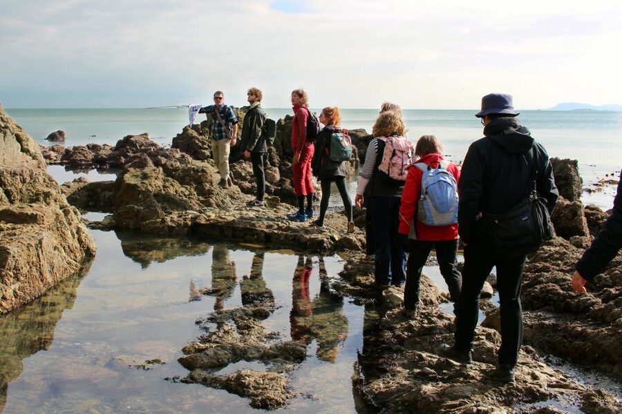 Dublin: Howth Safari Hiking Tour - Martello Tower Sutton: fort history tied to the coastline