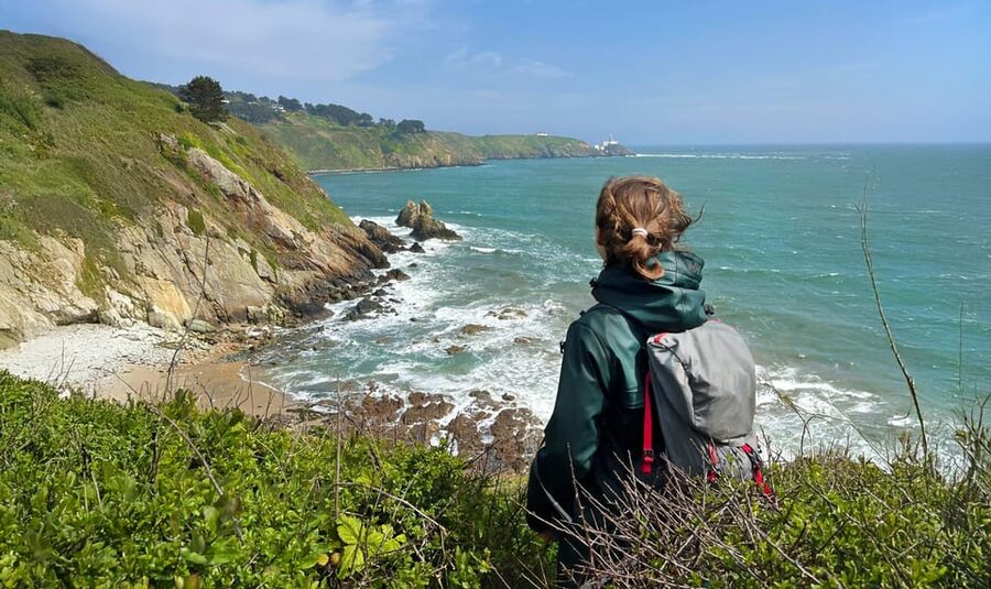 Dublin: Howth Safari Hiking Tour - The 10:00 AM meeting at The House Restaurant (and why it matters)