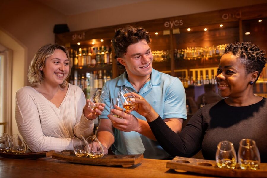 Dublin: Irish Whiskey Museum Tour and Whiskey Tasting - Classic vs Premium Tastings: Pick the Option That Matches Your Style