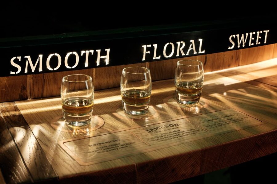 Dublin: Jameson and Guinness Private Tour with Transfers - Timekeeping and how a 4.5-hour plan stays enjoyable