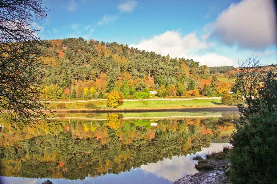 Dublin: Kilkenny, Wicklow & Glendalough Tour & Sheepdog Show - Guides, Stories, and Why the Day Feels Lighter Than It Is