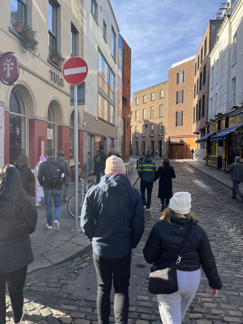 Dublin: Macabre History Walking Tour - Medieval Quarantines and Public Executions, Told with Dark Humor