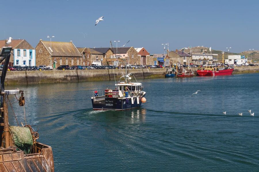 DUBLIN: Malahide castle and Howth MULTILINGUAL full day tour - Howth Summit to the fishermen’s village walk, optional but powerful