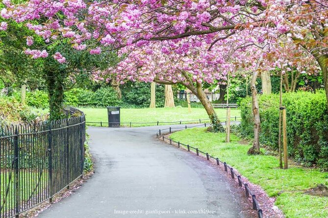 Dublin Off-The-Beaten-Path Private Literary Walking Tour - Price and value: when $170 makes sense