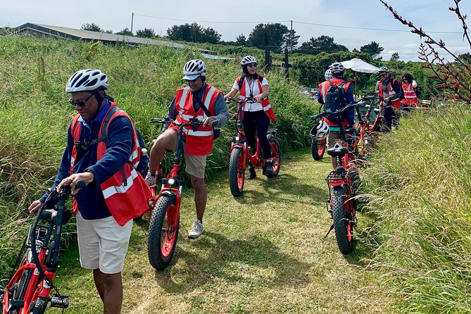 Dublin Panoramic e-Bike Tour with Howth Adventures - The guide factor: Nikki, Connor, Aileen, Karen, Ryan, and friends