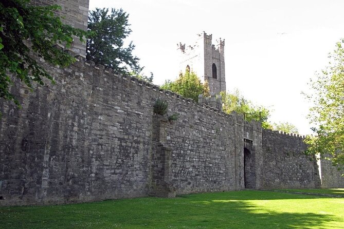 Dublin Private Medieval Walking Tour - St. Audoen’s Church and the oldest bells idea
