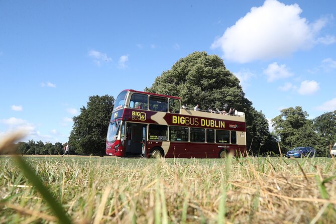 Dublin Shore Excursion, Live Guided Open-top, Hop-on Hop-off Sightseeing Tour - Night options and the walking tour upgrade