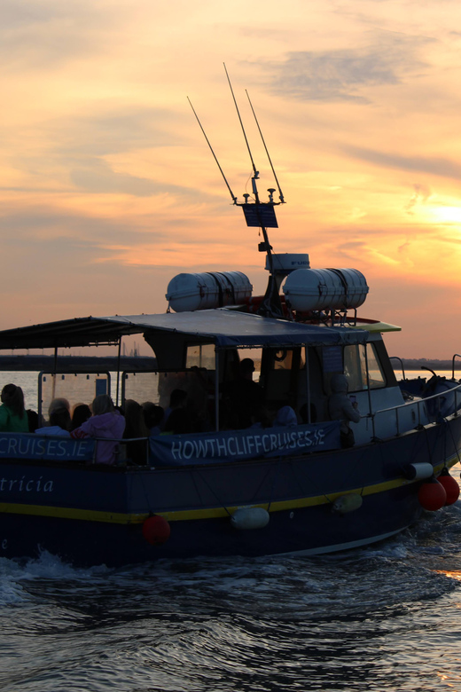 Dublin: Sunset Cruise in Howth - Who This Sunset Cruise Fits Best