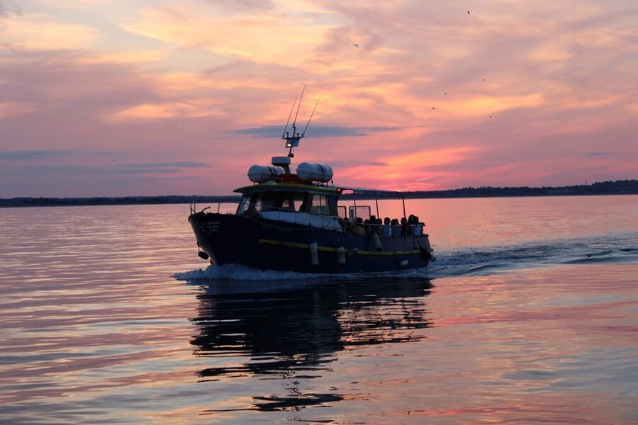 Dublin: Sunset Cruise in Howth - The 1-Hour Plan: How the Cruise Actually Runs