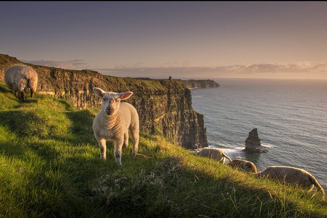 Dublin to Cliffs of Moher, Ennis Town & Bunratty Castle Day Tour - Should You Book It?