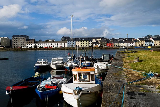 Dublin to Cliffs of Moher, including Wild Atlantic Way and Galway - Guides and drivers: the difference between a trip and a good day