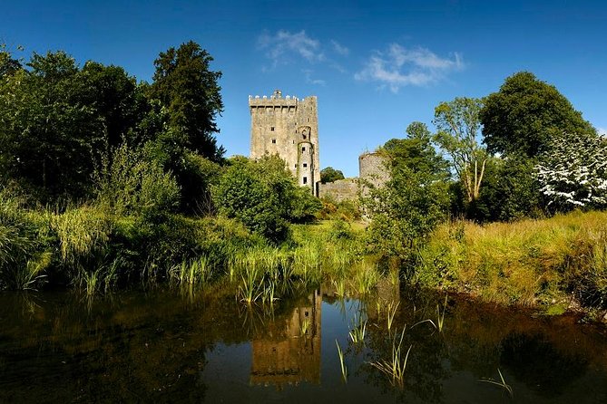 Dublin to Rock of Cashel, Cork City & Blarney Castle Guided Tour - Walking, stairs, and weather: how to make the day feel easy