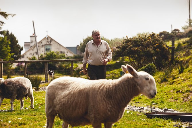 Dublin to South West 5 Day Small-Group Tour with Accommodation - Key highlights at a glance