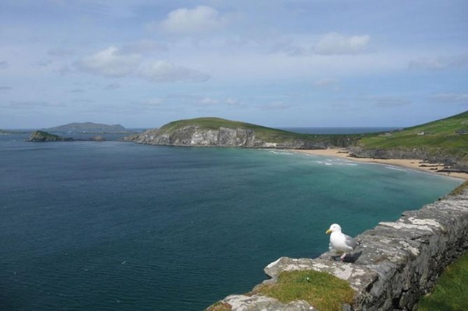 Dublin to South West 5 Day Small-Group Tour with Accommodation - South through County Clare to Killarney: Lahinch, a Shannon ferry, and pub time