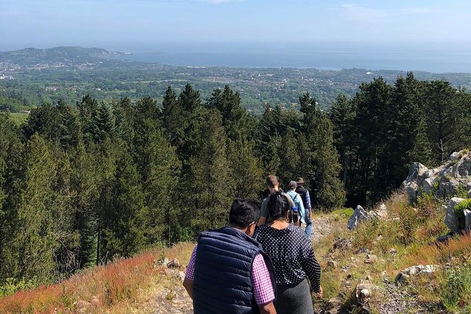 Dublin to Wicklow, Glendalough Small Group Tour with Guided Walk - Price and value: what $90.74 gets you (and what it doesn’t)