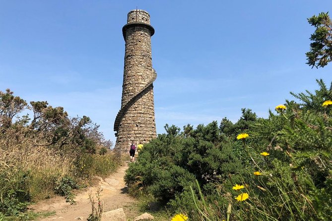Dublin to Wicklow, Glendalough Small Group Tour with Guided Walk - The Scalp guided hike: woodland trails and big overlooks