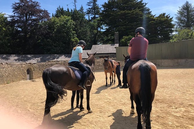 Dublin to Wicklow, Glendalough Small Group Tour with Horse Riding - Timing Reality Check: Why the Day Can Feel Fast