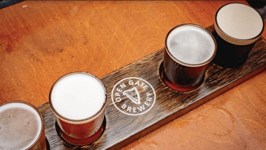 Dublin: Traditional Pubs Walking Tour with Local Guide - Should you book this Dublin Traditional Pubs Walking Tour?
