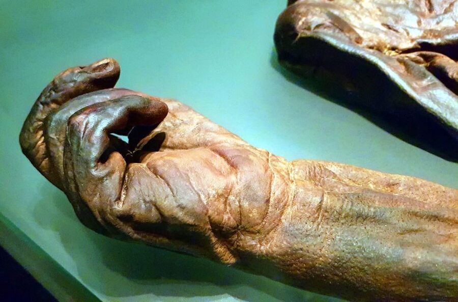 Dublin: Treasures of Ireland Museums Private Tour - Price and value for a private group up to 5