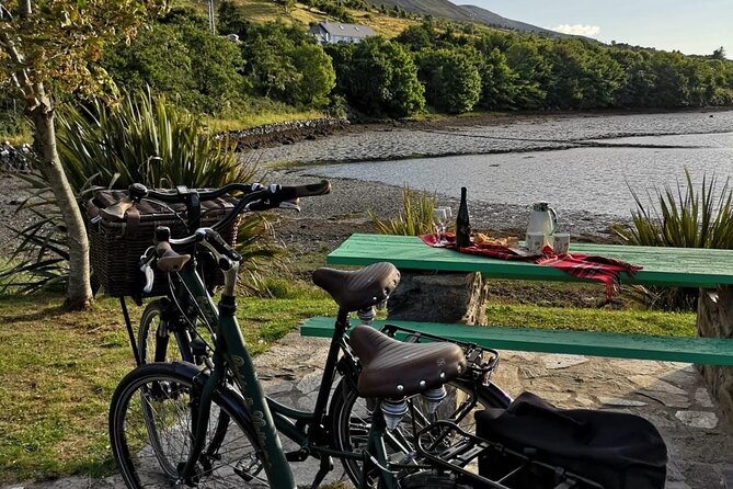 E-Bike Cycle Greenway - Westport To Achill Island Atlantic coast - Price and value: is $84.48 for a 4-hour e-bike day fair?