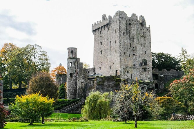 Easy Access Blarney Stone and Castle Gardens Tour - Key things to know before you go