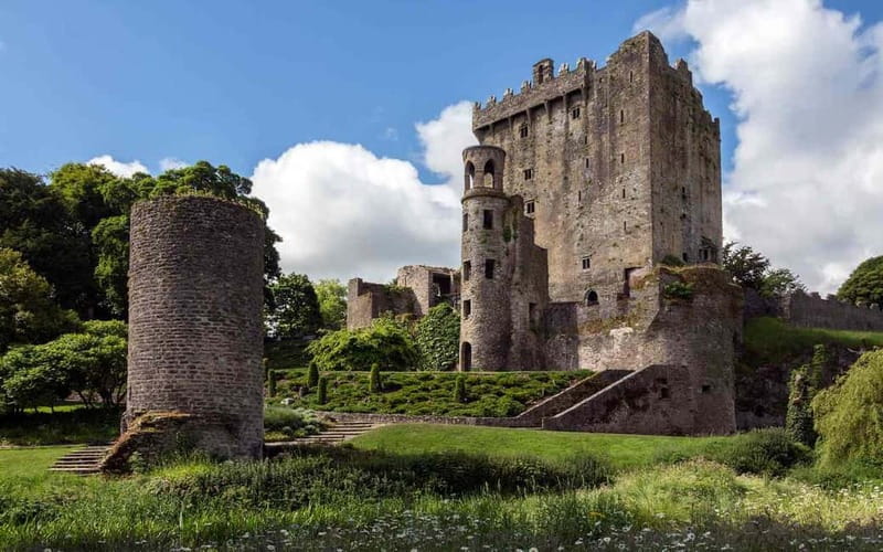 Easy Access - The Blarney Stone & Castle Gardens Tour - Inside Blarney Castle Gardens: The 15th-Century Highlights You Actually Want