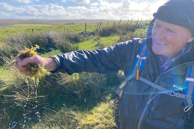 Erris Head Guided Walking Tour (AlchemyTours.ie) - Stop 1: Glenlara, sheep-proof fences, and the Stags of Broadhaven
