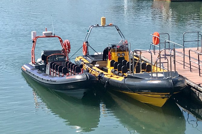 Exhilarating Rib experience - Dingle sea safari - Wildlife spotting you can actually plan for: seals, dolphins, puffins, and more