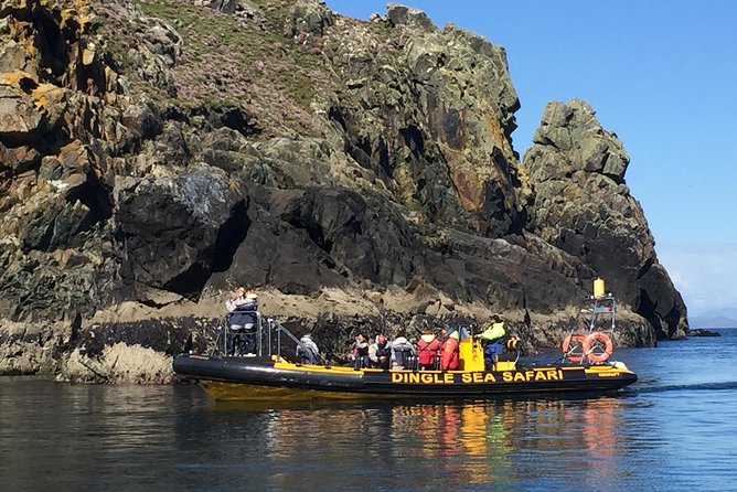 Exhilarating Rib experience - Dingle sea safari - What the captain talks about makes the scenery easier to photograph