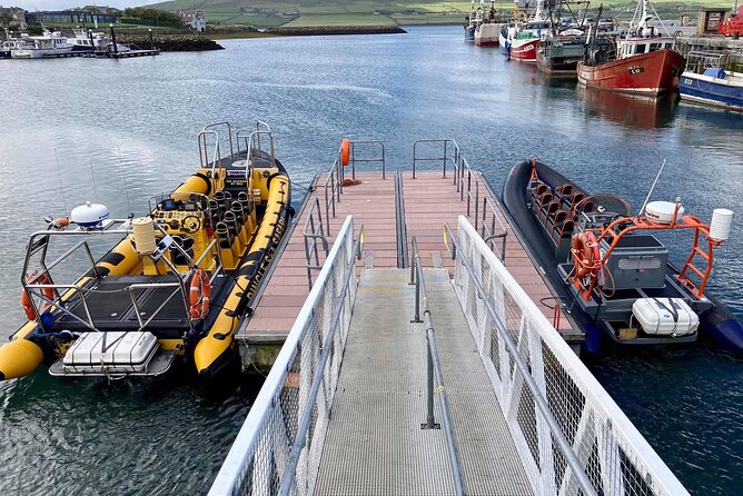 Exhilarating Rib experience - Dingle sea safari - Value check: does the $120.93 price feel fair?